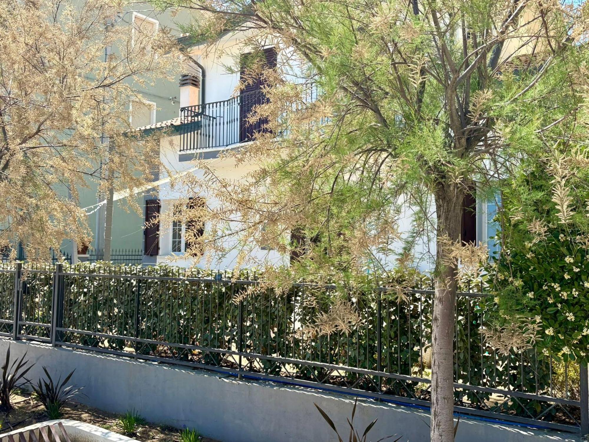 Villa Dolcevita Bellaria-Igea Marina Exterior foto